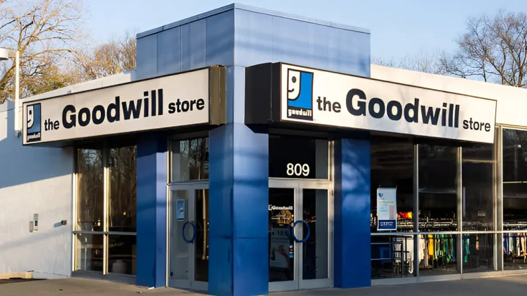 Goodwill Owner's Net Worth